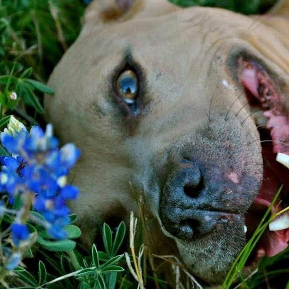 Meet your Posher, Gwendolyn